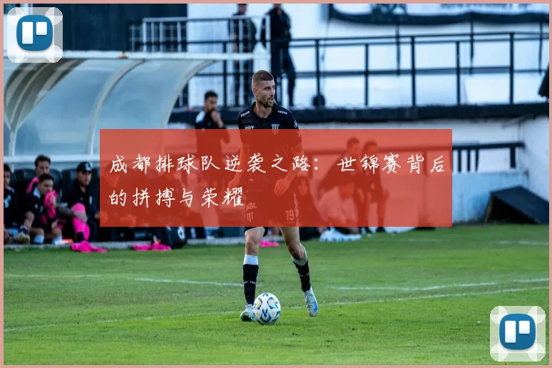 成都排球队逆袭之路：世锦赛背后的拼搏与荣耀