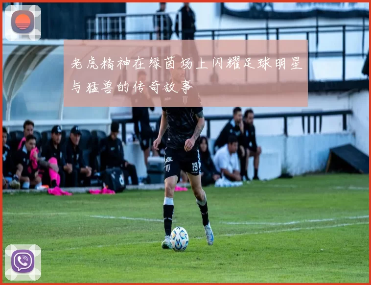老虎精神在绿茵场上闪耀足球明星与猛兽的传奇故事