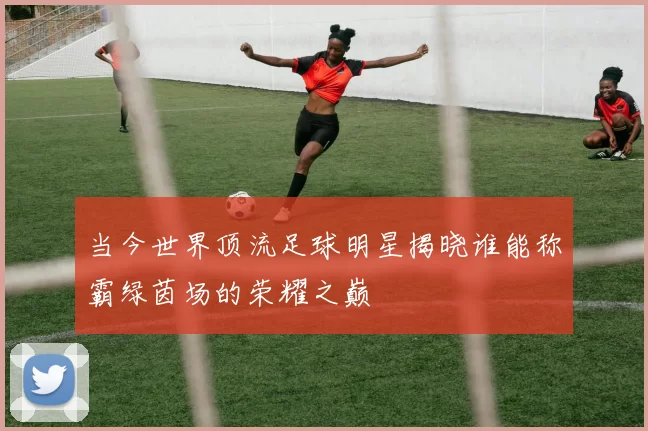 当今世界顶流足球明星揭晓谁能称霸绿茵场的荣耀之巅