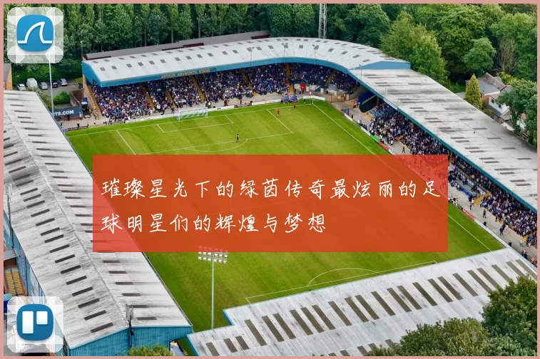 璀璨星光下的绿茵传奇最炫丽的足球明星们的辉煌与梦想