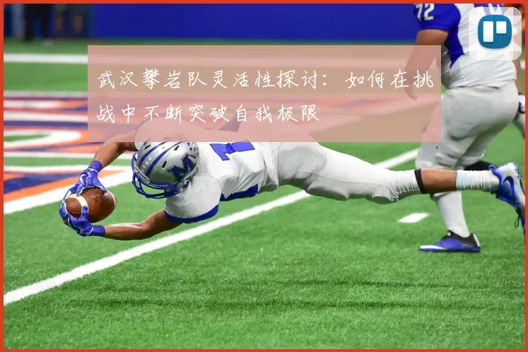 武汉攀岩队灵活性探讨：如何在挑战中不断突破自我极限