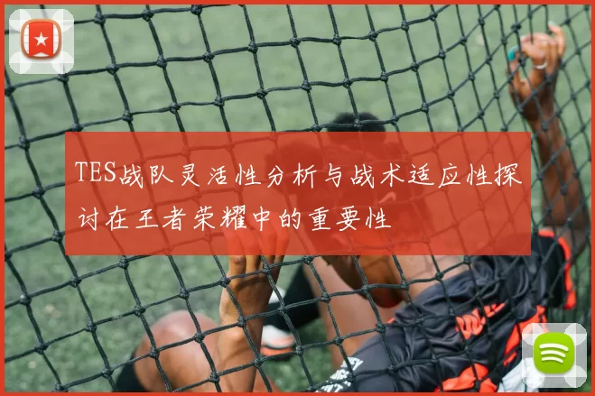 TES战队灵活性分析与战术适应性探讨在王者荣耀中的重要性