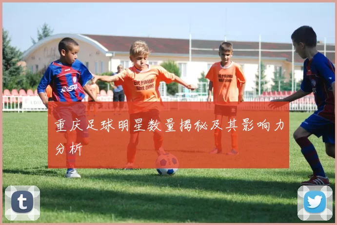 重庆足球明星数量揭秘及其影响力分析