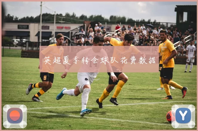 英超夏季转会球队花费数据