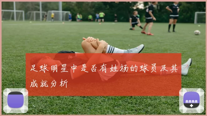 足球明星中是否有姓杨的球员及其成就分析