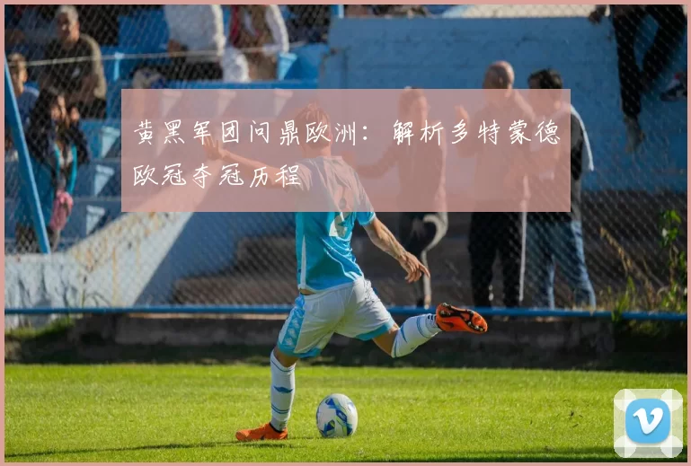 黄黑军团问鼎欧洲：解析多特蒙德欧冠夺冠历程