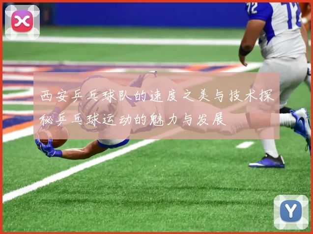西安乒乓球队的速度之美与技术探秘乒乓球运动的魅力与发展