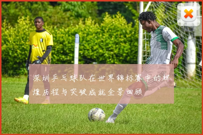 深圳乒乓球队在世界锦标赛中的辉煌历程与突破成就全景回顾