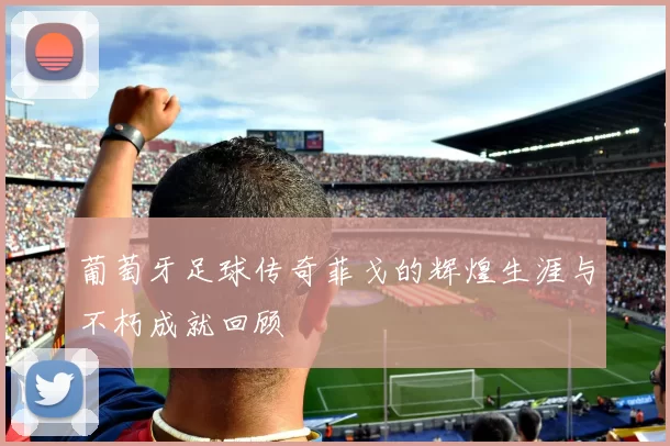 葡萄牙足球传奇菲戈的辉煌生涯与不朽成就回顾