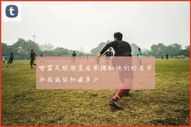 哈雷足球明星名单揭秘他们的名字和成就你知道多少