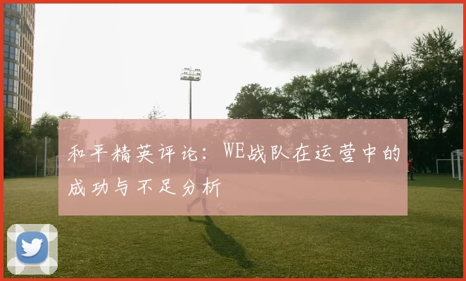 和平精英评论：WE战队在运营中的成功与不足分析