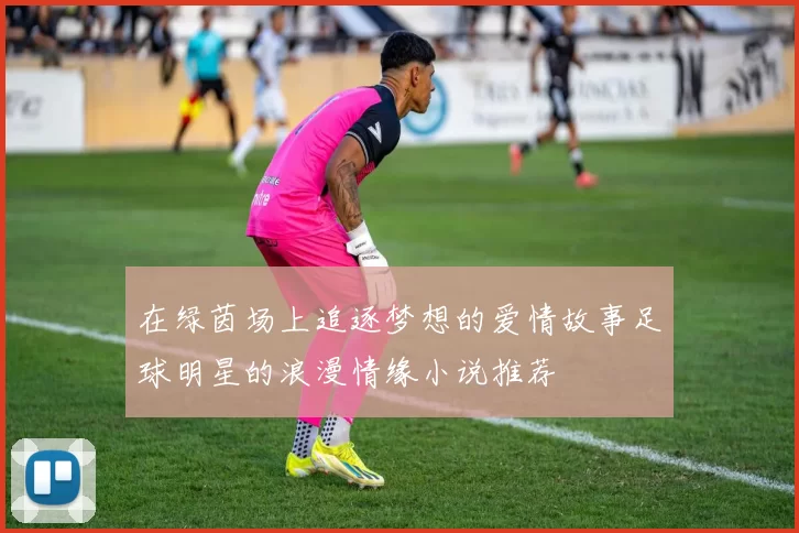 在绿茵场上追逐梦想的爱情故事足球明星的浪漫情缘小说推荐