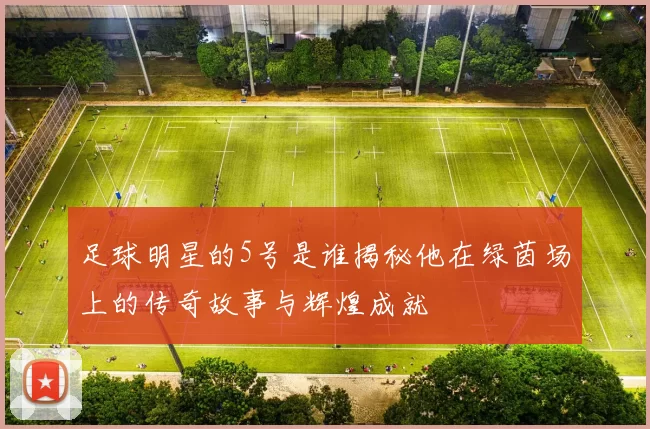 足球明星的5号是谁揭秘他在绿茵场上的传奇故事与辉煌成就