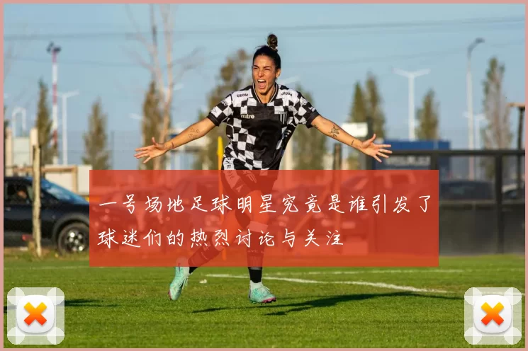 一号场地足球明星究竟是谁引发了球迷们的热烈讨论与关注