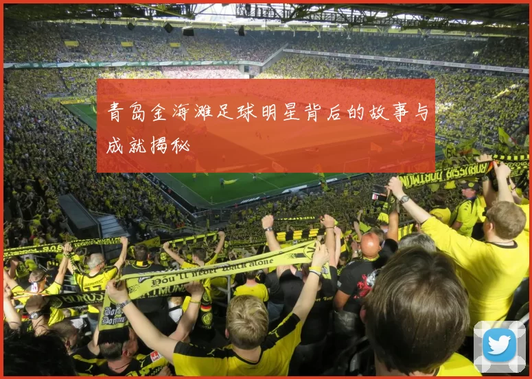 青岛金海滩足球明星背后的故事与成就揭秘