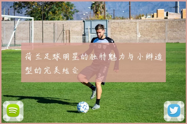 荷兰足球明星的独特魅力与小辫造型的完美结合