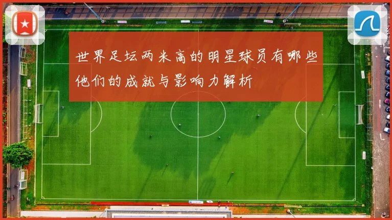 世界足坛两米高的明星球员有哪些他们的成就与影响力解析