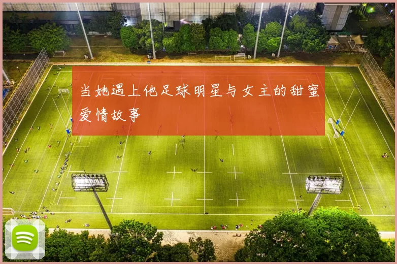 当她遇上他足球明星与女主的甜蜜爱情故事