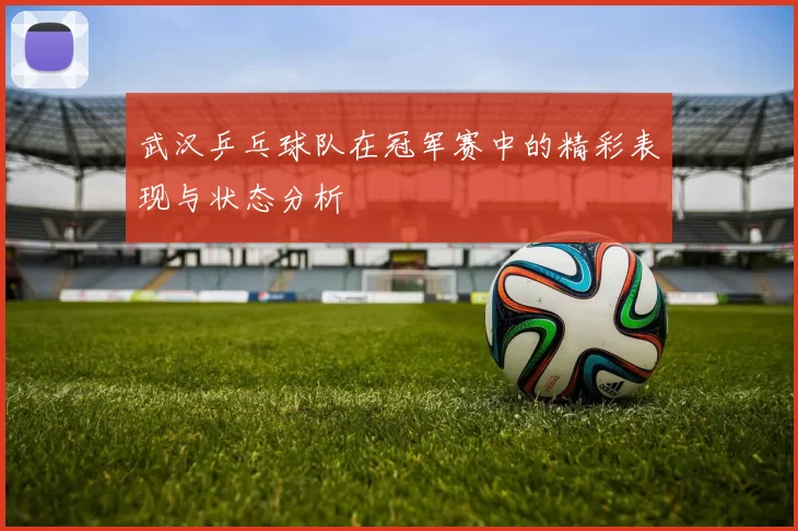 武汉乒乓球队在冠军赛中的精彩表现与状态分析